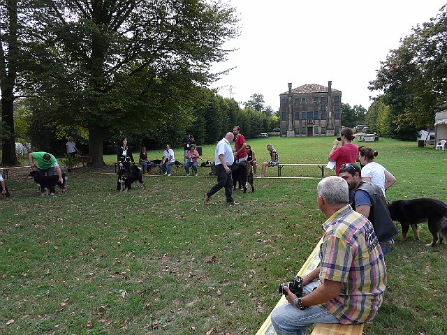 img 118.jpg